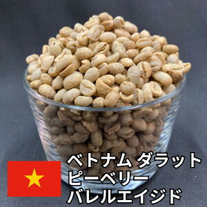 ★20%OFFクーポン★ 送料無料 コーヒー生豆 焙煎用 ベトナム ダラット ピーベリー ウォッシュト バレルエイジド 800g/2kg/5kg/10kg