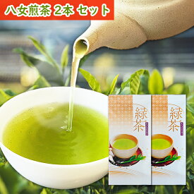 お茶 八女茶 100g 2本セット ワンコイン 深蒸し茶 煎茶 緑茶 深蒸し茶 日本茶 茶葉 お茶葉 急須 国産 福岡 八女 通販 贈り物 贈答品 健康 深むし茶 カテキン 九州 八女 国産 深むし茶 茶葉 贈り物 リーフ 買い回り