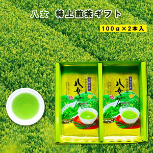 Mtg100g 2{ p     Β }{ t [t Yi 蕨 Ε  Mtg [㔪  䒆 ̓ ̓ hV̓