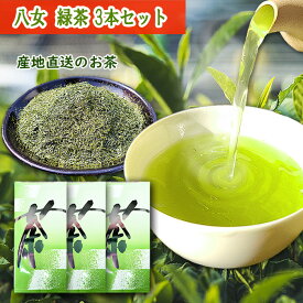 お茶 八女茶 緑茶 100g 3袋セット お茶 緑茶 煎茶 送料無料 深蒸し茶 福岡 八女 日本茶 茶葉 お茶葉 急須 国産 通販 煎茶 産地直送 リーフ お得 お土産 贈り物 送料無料 無添加 業務用 中性脂肪 お茶