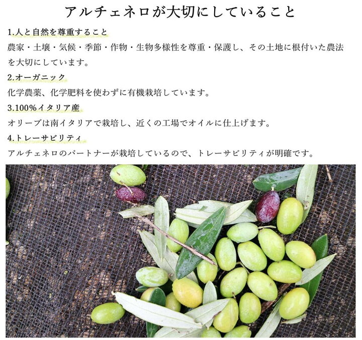 奉呈 アルチェネロ 有機エキストラ ヴァージン オリーブオイル ドルチェ 250ml オーガニック×12本 まとめ買い fucoa.cl 奉呈 アルチェネロ 有機エキストラ ヴァージン オリーブオイル ドルチェ 250ml オーガニック×12本 まとめ買い fucoa.cl