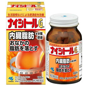 【第2類医薬品】小林製薬 ナイシトールGa 168錠 2個セット【送料無料】