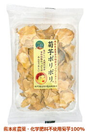 阿蘇自然の恵み総本舗 菊芋ポリポリ 40g 8個セット