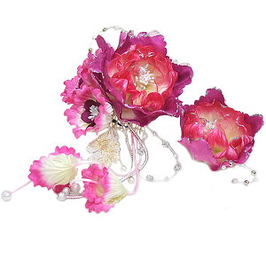 Up@@-Ԏn-@召2Zbg@[ 1011-524 ]@wA[ANZT[   ӂ肻 p[eB[ l Ǝ  я  m   [X R[ Us  