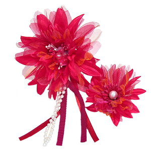 Up@@]召2Zbg/ԐF-@@[ 1012-541 ]@wA[ANZT[   ӂ肻 p[eB[ l Ǝ  䂩    m { K[[ R[ Us 