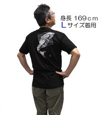 Lサイズ着用