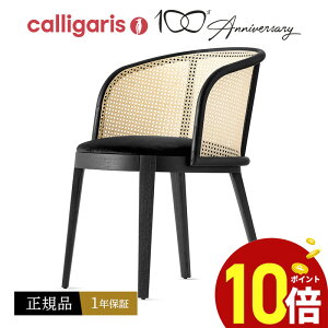 y|Cg10{z calligaris JKX@ؐt[ƃ^̔w_CjO`FA CS2202 Adel Af ֎q 1r JAPANK㗝X i IV It 1Nۏ