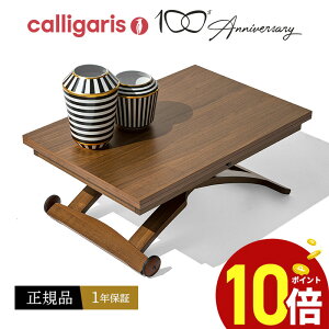 カリガリス 昇降 テーブルの人気商品・通販・価格比較 - 価格.com