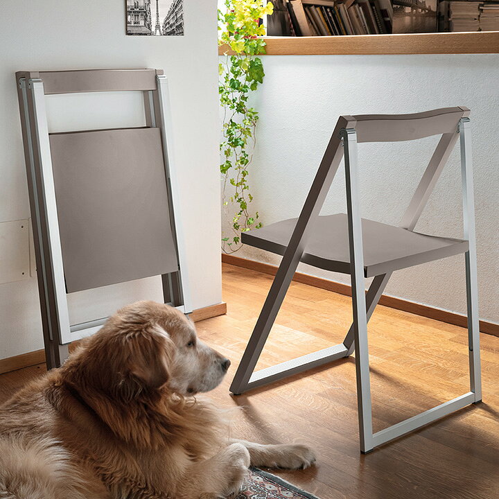 楽天市場】【正規品1年保証 ポイント10倍】 カリガリス calligaris 