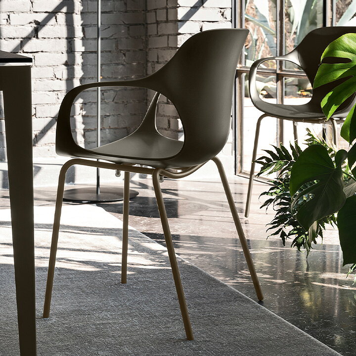 楽天市場】【ポイント10倍】 calligaris カリガリス コヌビア 