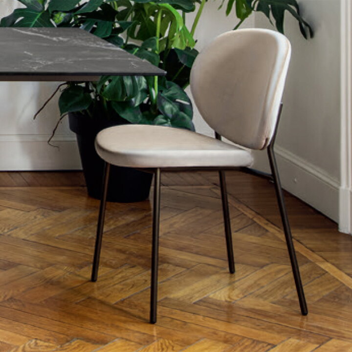 楽天市場】【正規品1年保証 ポイント10倍 特典付き】 calligaris 