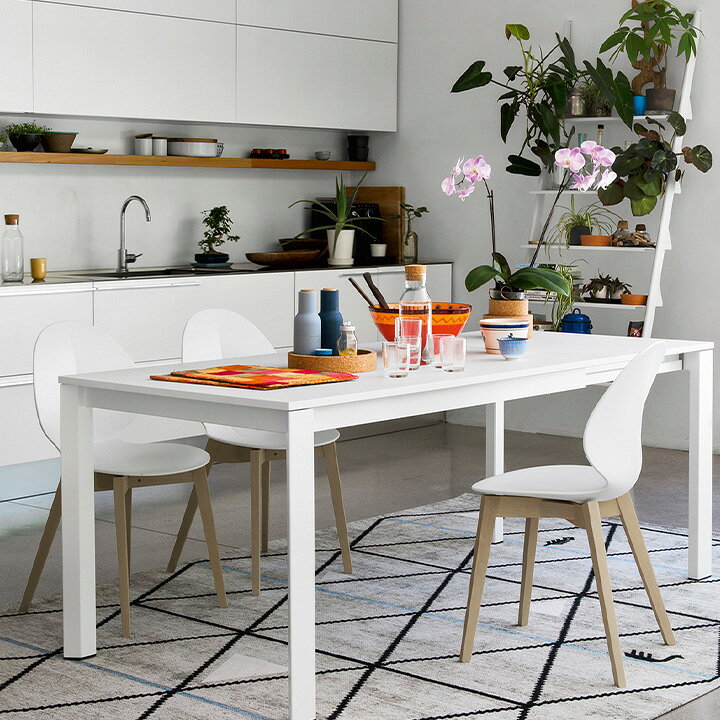 楽天市場】【正規品1年保証 ポイント10倍 特典付き】 calligaris 