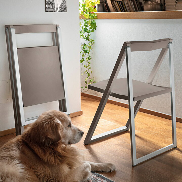 楽天市場】【正規品1年保証 ポイント10倍】 カリガリス calligaris 