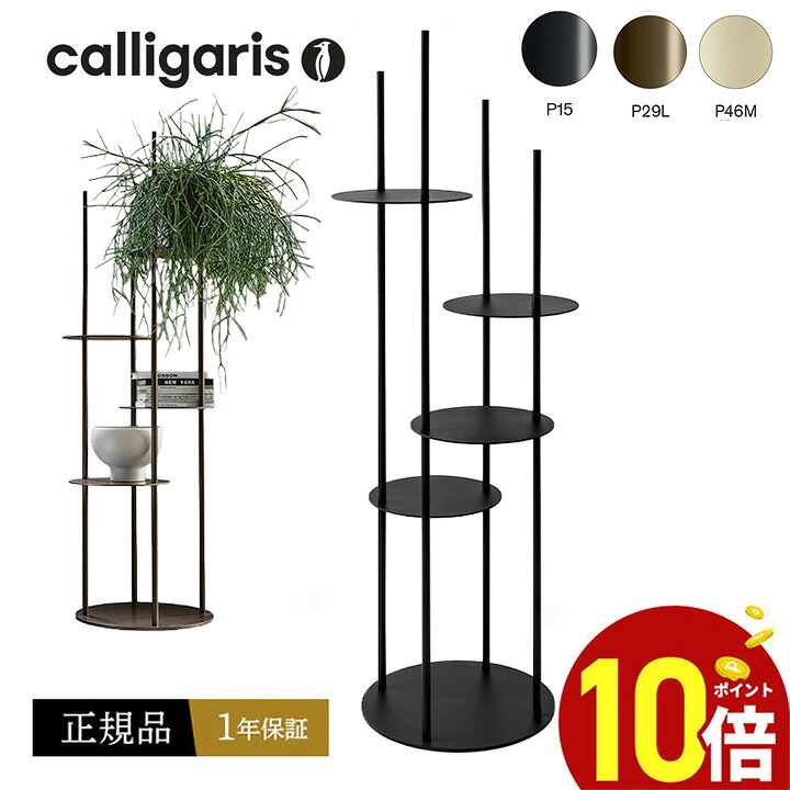 楽天市場】カリガリス 【正規代理店1年保証】 CS5107 CIRCLES サークル 