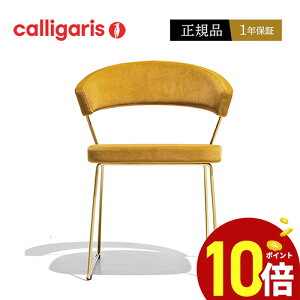 yKi1Nۏ |Cg10{ Ttz calligaris JKX _CjO`FA NEW YORK j[[N `FA CB1022 t@ubN z֎q2rZbg JAPANK㗝X i IV It 