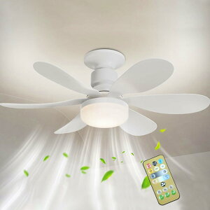 �V�[�����O�t�@�� ���C�g�t�� �����[�g�t�� 40W/30W �����p�d��/�V�[�����O�t�@�� E26/27 �\�P�b�g�t�@