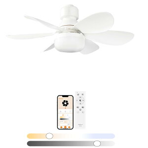LED�V�[�����O�t�@�����C�g �T�[�L�����[�^�[�t�� 8�� 6�� �V�[�����O�t�@�����C�g LED dc���[�^�[ �������F ���ʒ��� �V�[�����O�t�@�����C�g