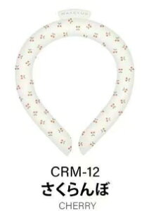 _撅100298~^ňlɒIu2025 TCYiqpjARgp lbNN[[ 28 R ⊴ p ⊴O ACXlbNoh Ђ胊O M΍ 