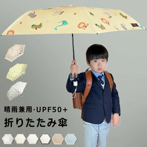 yyEE̎OqI qŎgŋ܂肽ݎPzq ܂ݎP y JP P O΍ uvJbg P Ă̋99.9%Jbg 6{łŒ ϕ݌v