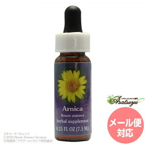 �A���j�J FES�t�����[�G�b�Z���X �N�C���g�G�b�Z���X �t�����[�G�b�Z���X