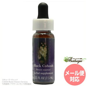 �u���b�N�R�z�[�V�� FES�t�����[�G�b�Z���X �N�C���g�G�b�Z���X �t�����[�G�b�Z���X