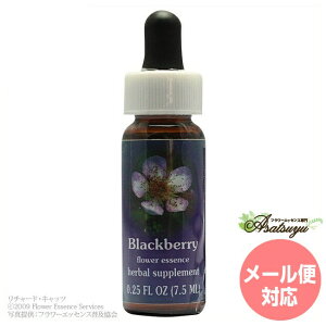 �u���b�N�x���[ FES�t�����[�G�b�Z���X �N�C���g�G�b�Z���X �t�����[�G�b�Z���X