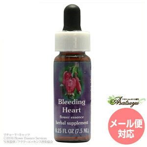 �u���[�f�B���O�n�[�g FES�t�����[�G�b�Z���X �N�C���g�G�b�Z���X �t�����[�G�b�Z���X