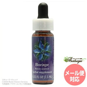 �{���[�W�� FES�t�����[�G�b�Z���X �N�C���g�G�b�Z���X �t�����[�G�b�Z���X