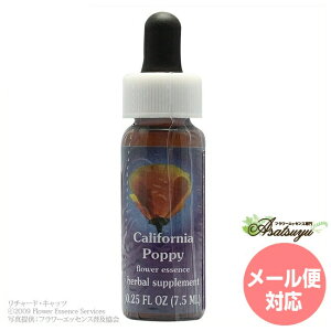 �J���t�H���j�A�|�s�[ FES�t�����[�G�b�Z���X �N�C���g�G�b�Z���X �t�����[�G�b�Z���X