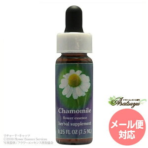 �J���~�[�� FES�t�����[�G�b�Z���X �N�C���g�G�b�Z���X �t�����[�G�b�Z���X