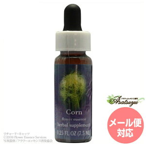 �R�[�� FES�t�����[�G�b�Z���X �N�C���g�G�b�Z���X �t�����[�G�b�Z���X