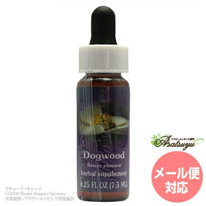 �_�O�E�b�h FES�t�����[�G�b�Z���X �N�C���g�G�b�Z���X �t�����[�G�b�Z���X