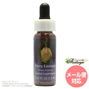 �t�F�A���[�����^�� FES�t�����[�G�b�Z���X �N�C���g�G�b�Z���X �t�����[�G�b�Z���X