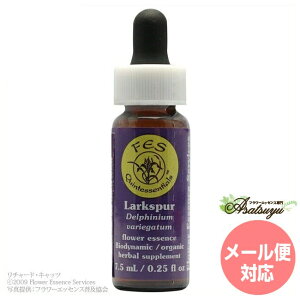 ���[�N�X�p�[ FES�t�����[�G�b�Z���X �N�C���g�G�b�Z���X �t�����[�G�b�Z���X