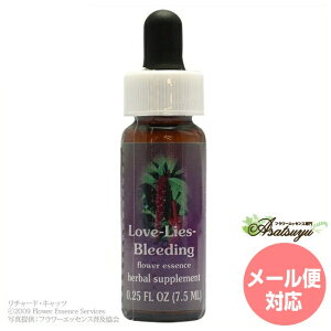 ���u���C�Y�u���[�f�B���O FES�t�����[�G�b�Z���X �N�C���g�G�b�Z���X �t�����[�G�b�Z���X