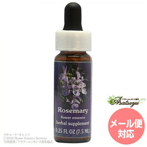 ���[�Y�}���[ FES�t�����[�G�b�Z���X �N�C���g�G�b�Z���X �t�����[�G�b�Z���X