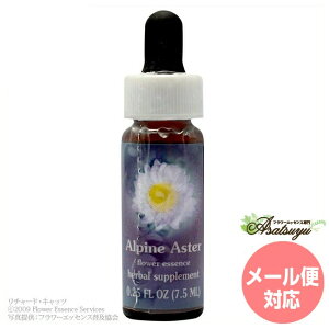 �A���p�C���A�X�^�[ FES�t�����[�G�b�Z���X �����W�I�u���C�g �t�����[�G�b�Z���X