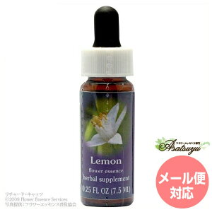 ������ FES�t�����[�G�b�Z���X �����W�I�u���C�g �t�����[�G�b�Z���X