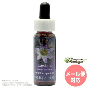 ���C�[�W�A FES�t�����[�G�b�Z���X �����W�I�u���C�g �t�����[�G�b�Z���X