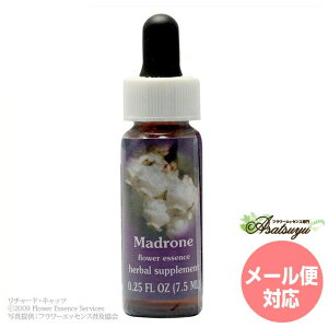 �}�h���[�� FES�t�����[�G�b�Z���X �����W�I�u���C�g �t�����[�G�b�Z���X