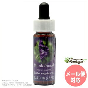 �����N�X�t�[�h FES�t�����[�G�b�Z���X �����W�I�u���C�g �t�����[�G�b�Z���X