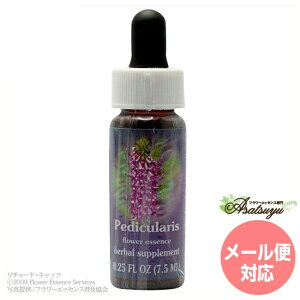 �y�f�B�L�������X FES�t�����[�G�b�Z���X �����W�I�u���C�g �t�����[�G�b�Z���X