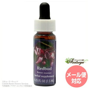 ���b�h�o�b�h FES�t�����[�G�b�Z���X �����W�I�u���C�g �t�����[�G�b�Z���X