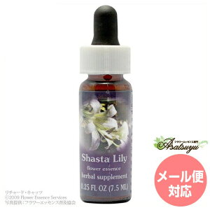 �V���X�^�����[ FES�t�����[�G�b�Z���X �����W�I�u���C�g �t�����[�G�b�Z���X