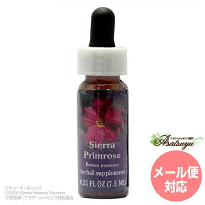 �V�G���v�������[�Y FES�t�����[�G�b�Z���X �����W�I�u���C�g �t�����[�G�b�Z���X