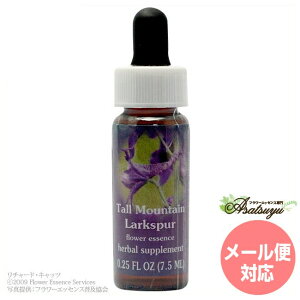 �g�[���}�E���e�����[�N�X�p�[ FES�t�����[�G�b�Z���X �����W�I�u���C�g �t�����[�G�b�Z���X