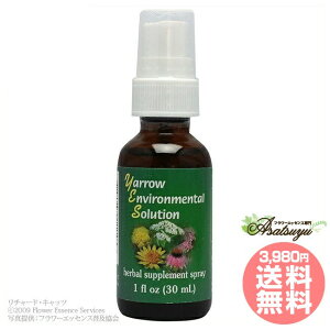 �����[�G���o�C�������^���\�����[�V�����X�v���[ FES�t�����[�G�b�Z���X 30ml YES �n���C�X�g���X �A�����M�[ �Ɖu