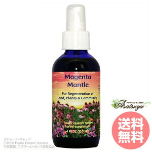 �}�W�F���^�}���g���X�v���[ 120ml FES�t�����[�G�b�Z���X �}�W�F���^�}���g�� �t�����[�G�b�Z���X