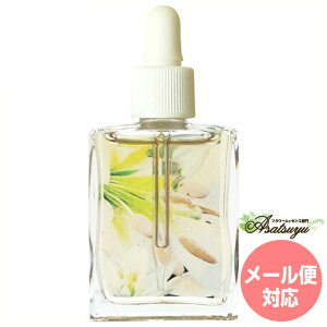 [ t[Ri Rrl[VGNV[ t[GbZX