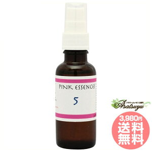 5Five CfBSGbZX sNGbZXXv[ t[GbZX